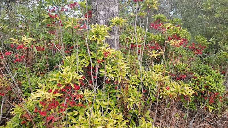 Lake Rogers Park - Odessa, FL
