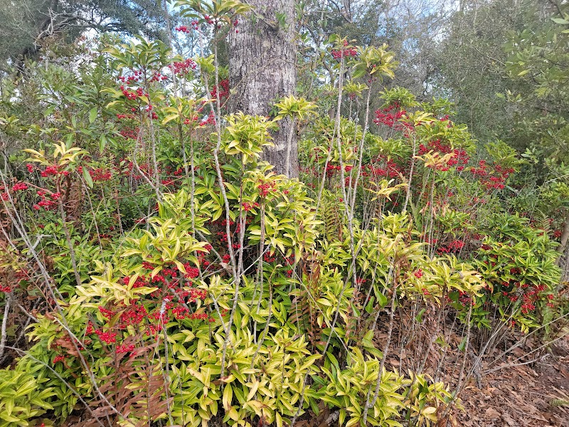 Lake Rogers Park - Odessa, FL