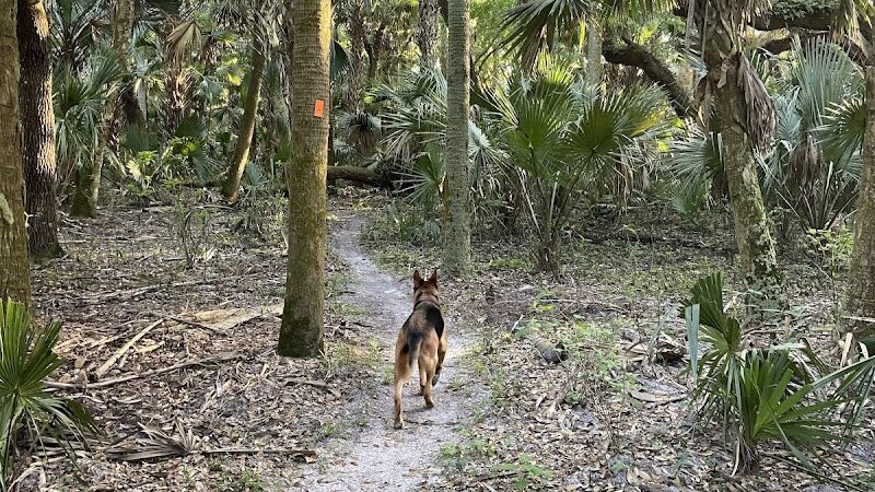 Grassy Island Equestrian and MTB Trail - Okeechobee, FL