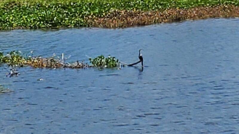 Lake Okeechobee Park - Okeechobee, FL