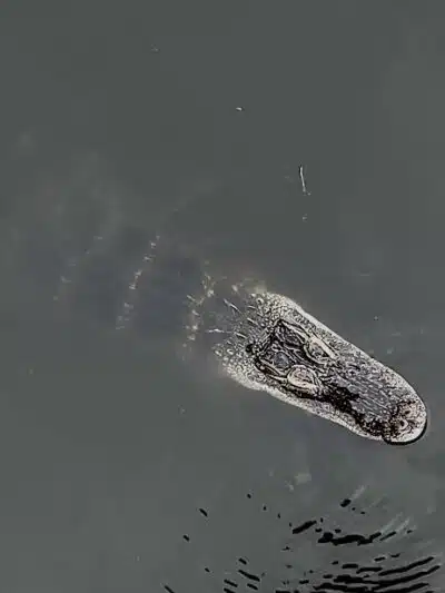 Lake Okeechobee Park - Okeechobee, FL