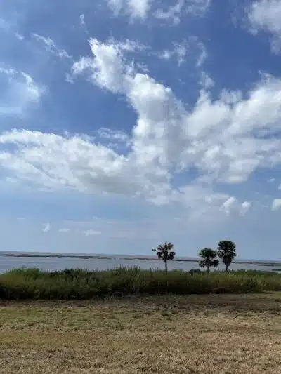 Lake Okeechobee Scenic Trail - Okeechobee, FL