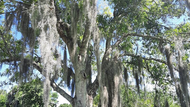 Lake Okeechobee Scenic Trail - Okeechobee, FL