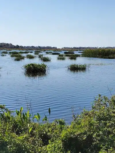 Lakeside Ranch Stormwater Treatment Area, South Entrance - Okeechobee, FL