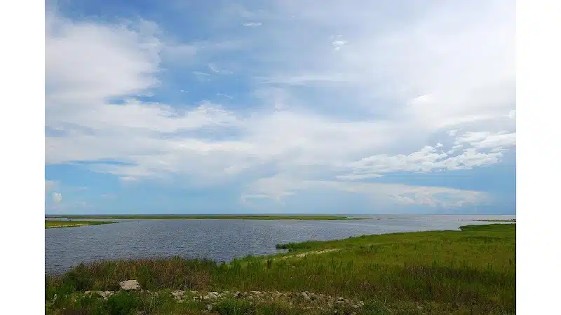 Okeechobee KOA Resort - Okeechobee, FL