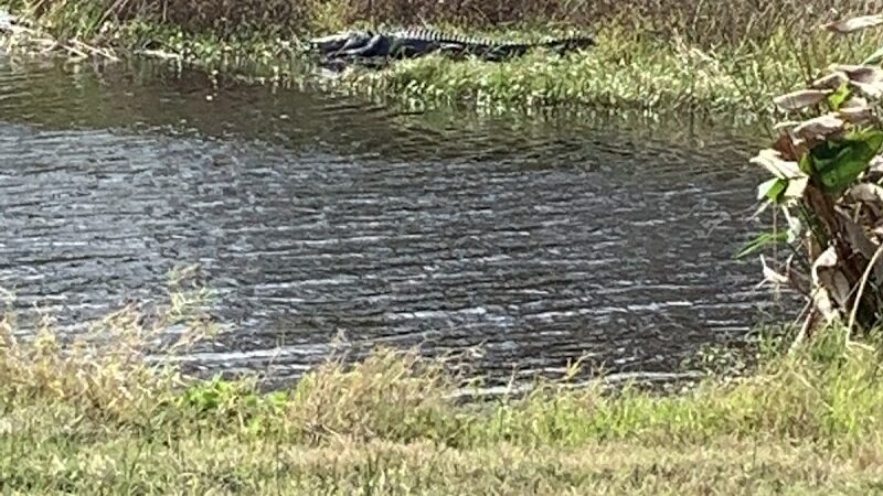 Taylor Creek Stormwater Treatment Area/Nature Trail/Wildlife Preservation Area - Okeechobee, FL