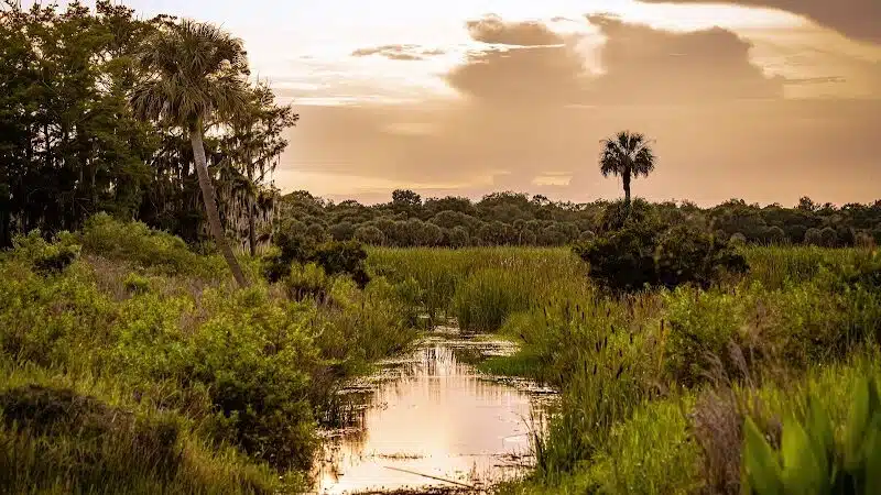 Taylor Creek Stormwater Treatment Area/Nature Trail/Wildlife Preservation Area - Okeechobee, FL