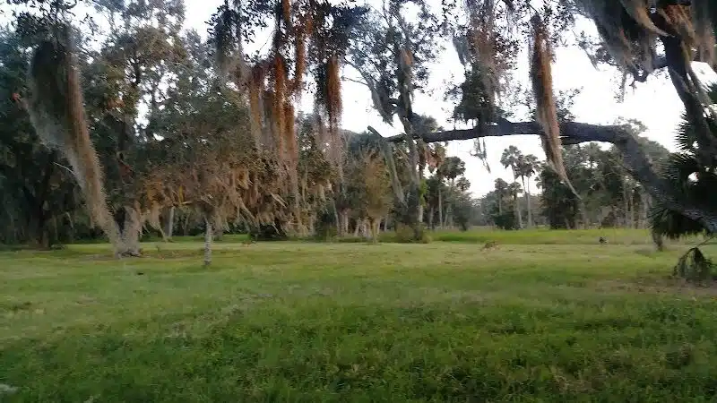 Taylor Creek Stormwater Treatment Area/Nature Trail/Wildlife Preservation Area - Okeechobee, FL