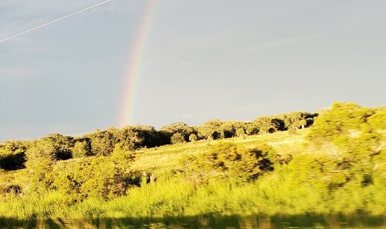 Yeehaw Junction Recreational Park - Okeechobee, FL
