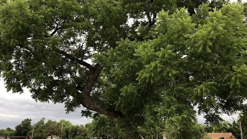 Brock Park - Oklahoma City, OK