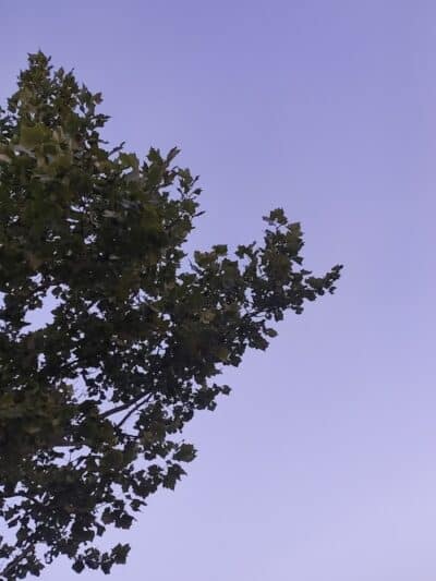 Daniel J. Diggs Park - Oklahoma City, OK