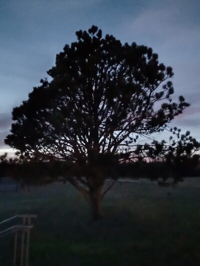Daniel J. Diggs Park - Oklahoma City, OK