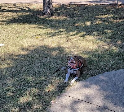 Denniston Park - Oklahoma City, OK