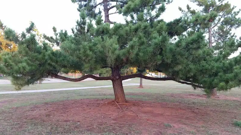 Shallowbrook Park - Oklahoma City, OK