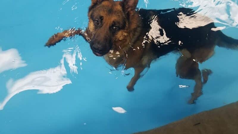 The Water Bark LLC - Oklahoma City, OK