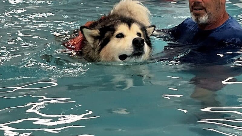 The Water Bark LLC - Oklahoma City, OK