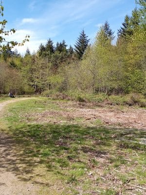 Bandix Dog Park