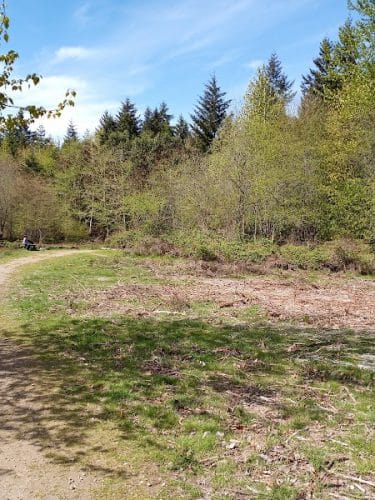 Bandix Dog Park