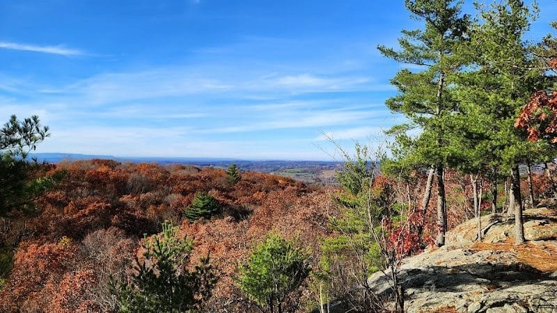 Wilson M. Powell Wildlife Sanctuary - Old Chatham, NY