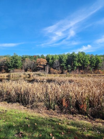 Wilson M. Powell Wildlife Sanctuary - Old Chatham, NY