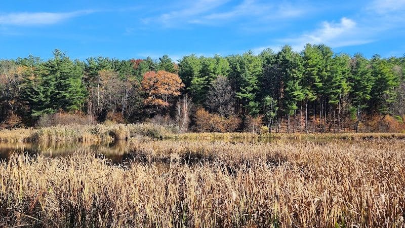 Wilson M. Powell Wildlife Sanctuary - Old Chatham, NY