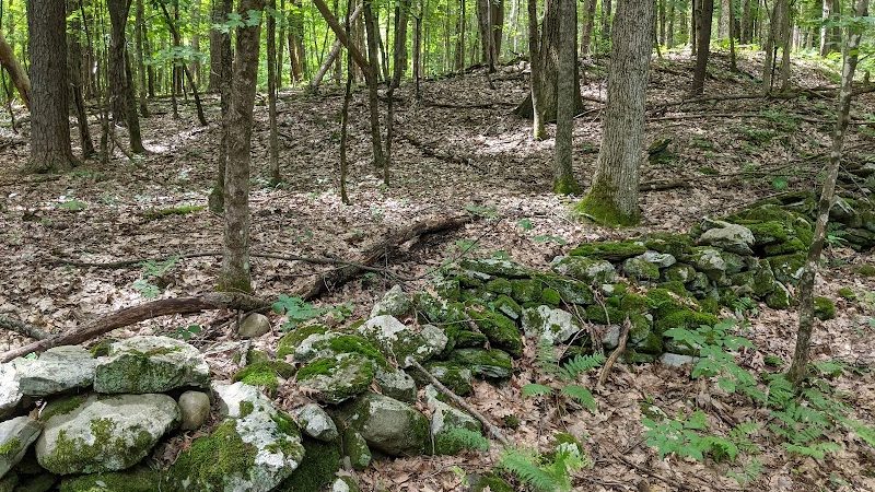 Wilson M. Powell Wildlife Sanctuary - Old Chatham, NY