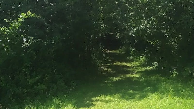 Wilson M. Powell Wildlife Sanctuary - Old Chatham, NY