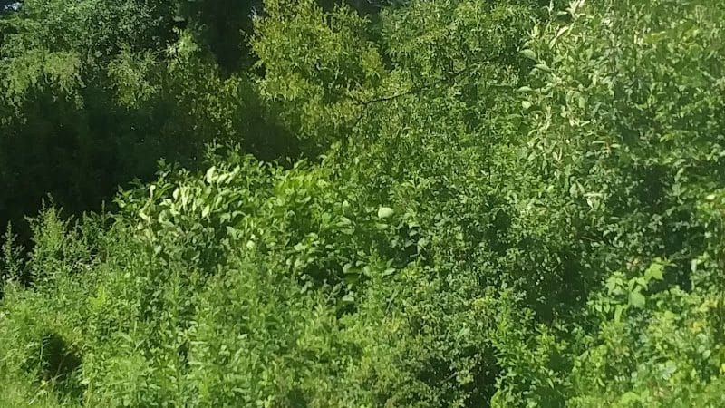 Wilson M. Powell Wildlife Sanctuary - Old Chatham, NY