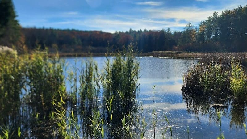 Wilson M. Powell Wildlife Sanctuary - Old Chatham, NY