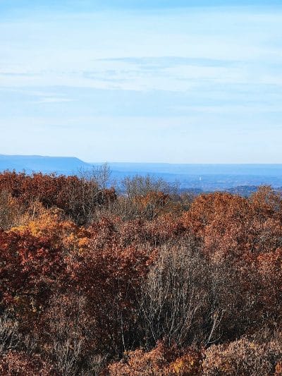 Wilson M. Powell Wildlife Sanctuary - Old Chatham, NY