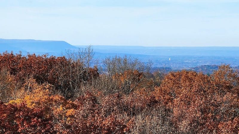 Wilson M. Powell Wildlife Sanctuary - Old Chatham, NY