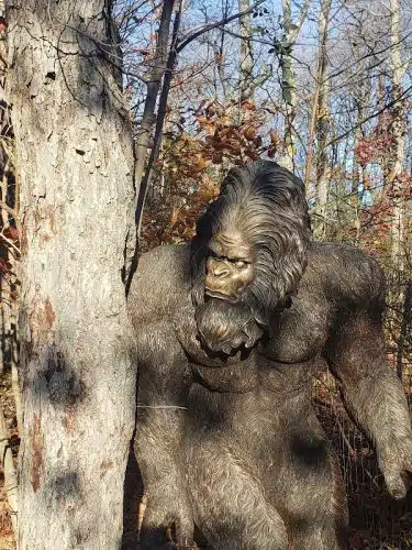 Rock City Park