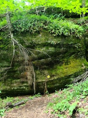 Rock City Park