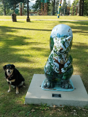 Oak Hill Park