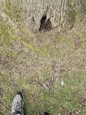 Oak Hill Park