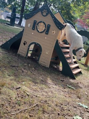 Oak Hill Park
