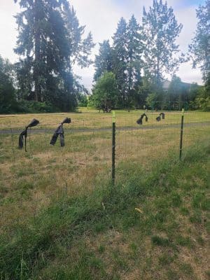 Evergreen Park