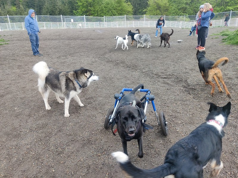 McLane Off-Leash Dog Park