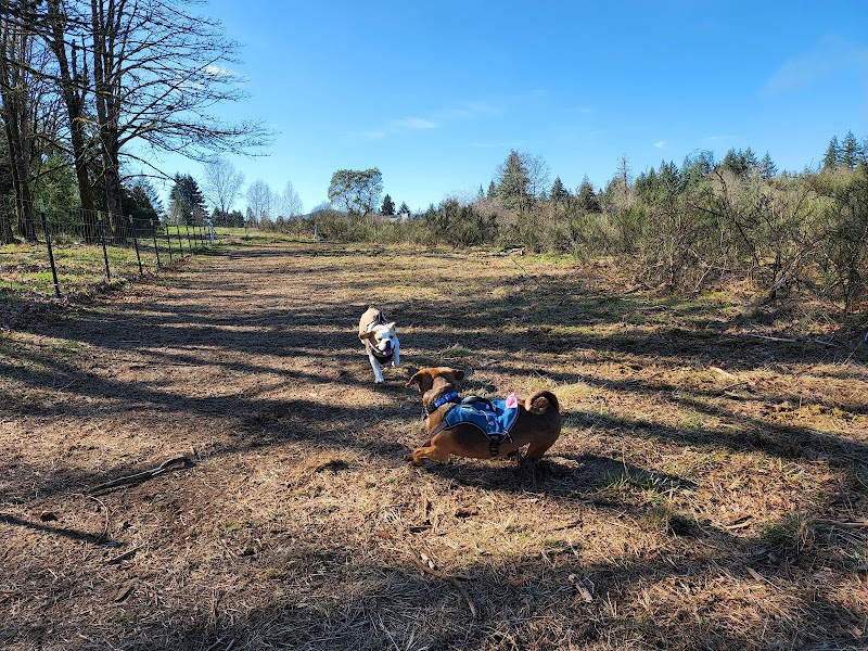 McLane Off-Leash Dog Park