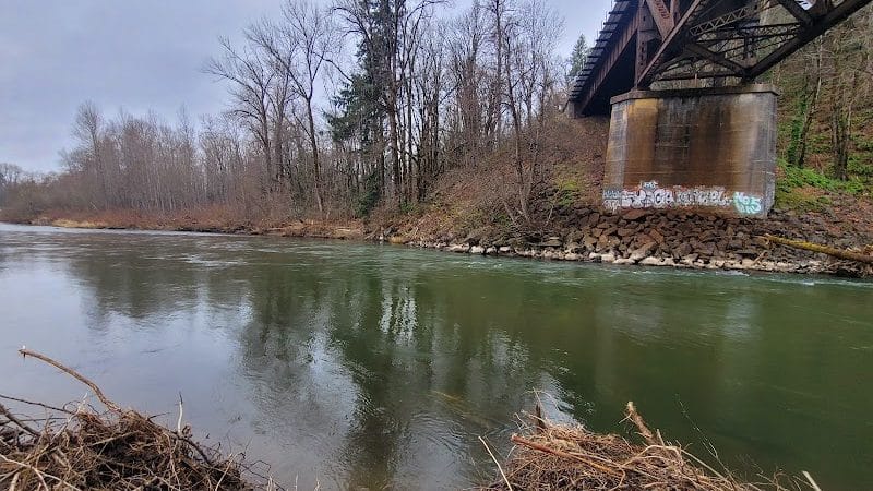 Nisqually River Public Access - Olympia, WA