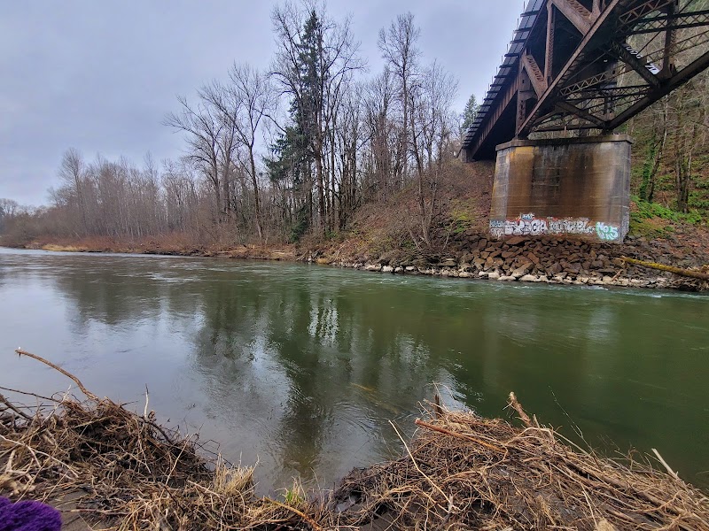 Nisqually River Public Access - Olympia, WA