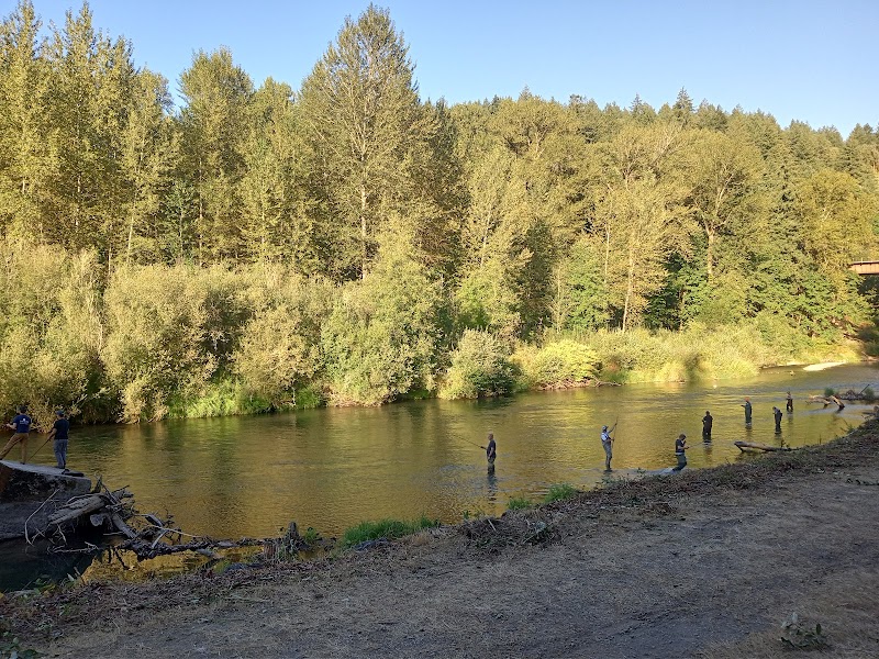 Nisqually River Public Access - Olympia, WA