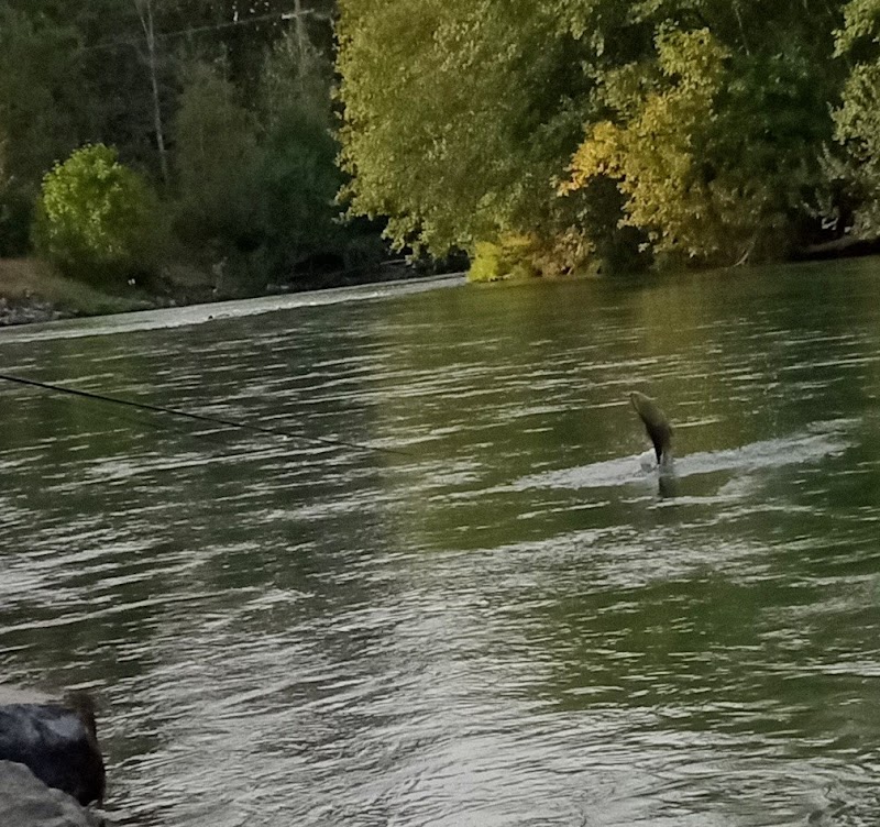 Nisqually River Public Access - Olympia, WA