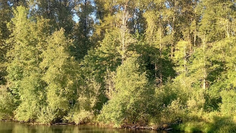 Nisqually River Public Access - Olympia, WA