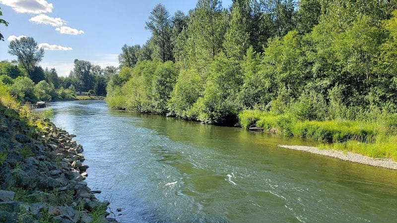 Nisqually River Public Access - Olympia, WA
