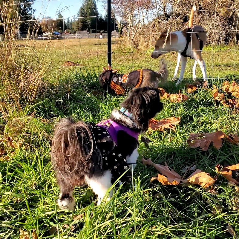 Olympia Dog Park