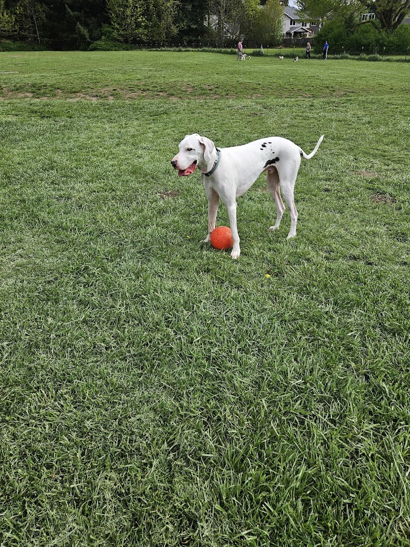 Olympia Dog Park