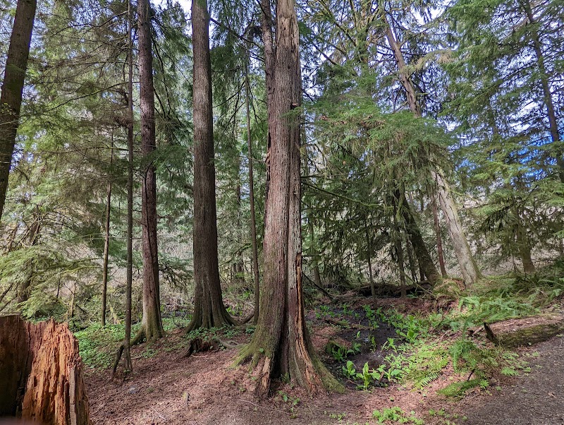 Watershed Park