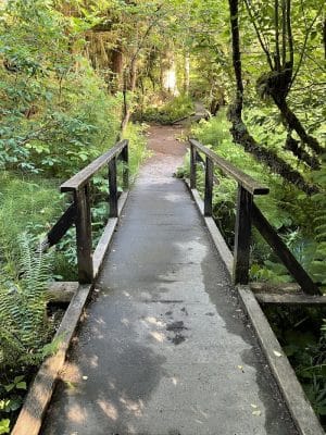 Watershed Park