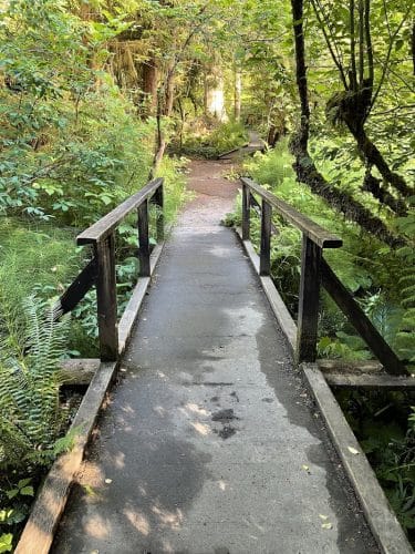 Watershed Park